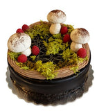 Dubai Chocolate Cake